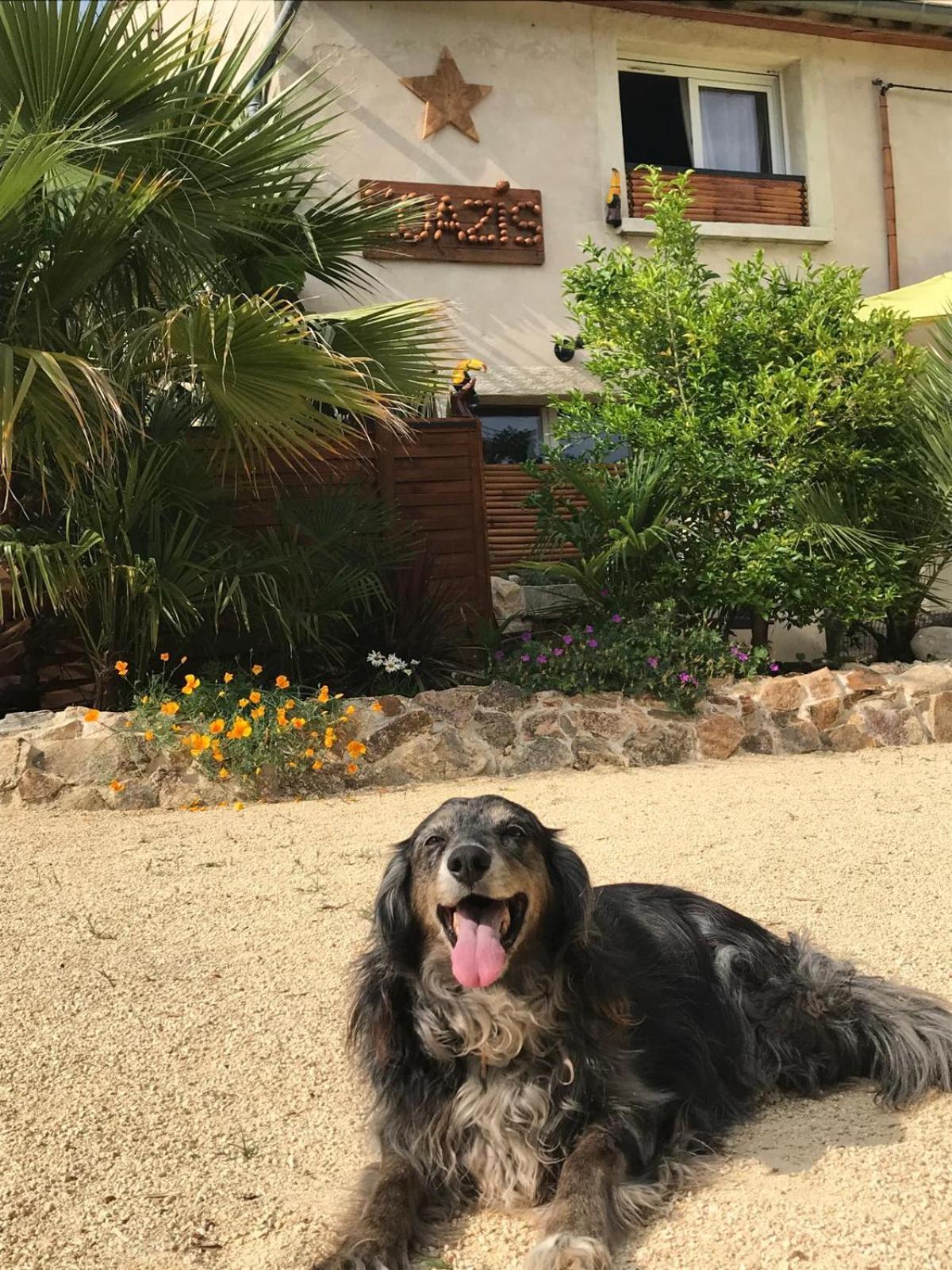 L'Oazis Malissard Bed & Breakfast Luaran gambar